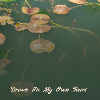 Various Artists - Drown in My Own Tears