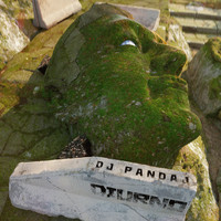 DJ PANDAJ - Diurno