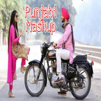 DJ Danish - Punjabi Mashup