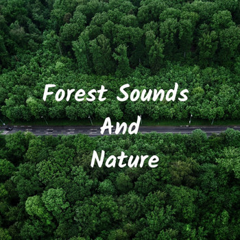 Nature Sounds - Forest Sounds And Nature