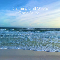 Ocean Sounds XLE Library - Calming Gulf Waves (Loopable)