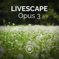 myNoise - Livescape Opus 3 (OZORA 2020 Mix)