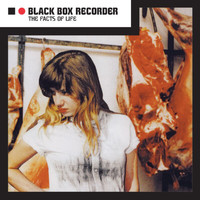 Black Box Recorder - The Facts Of Life
