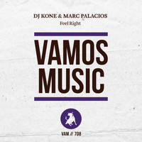 Dj Kone & Marc Palacios - Feel Right
