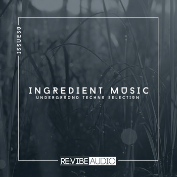 Various Artists - Ingredient Music, Vol. 30 (Explicit)