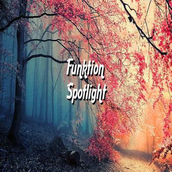 Funktion - Spotlight