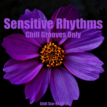 Various Artists - Sensitive Rhythms (Chill Grooves Only)