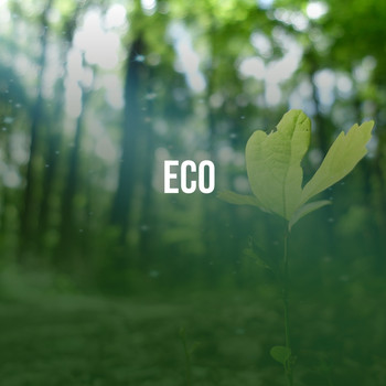 Various Artists - Eco
