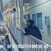 PAMS - We've Forgotten Who We Are