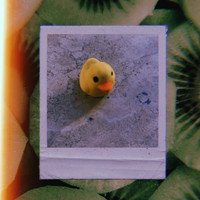 Little Duck - kiwwi kiwwi 