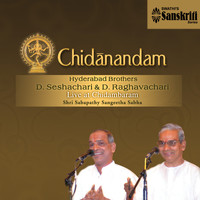 Hyderabad Brothers - Chidanandam - Hyderabad Brothers (Live at Chidambaram)