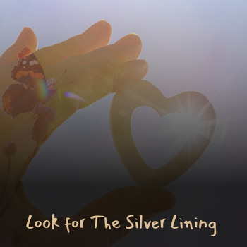 Various Artists - Look For the Silver Lining