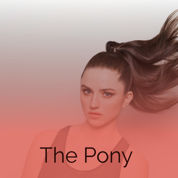 Various Artists - The Pony