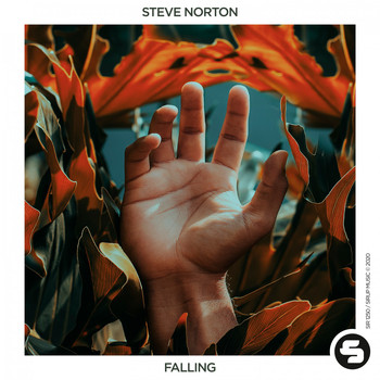 Steve Norton - Falling