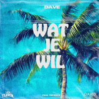 Dave - Wat Je Wil
