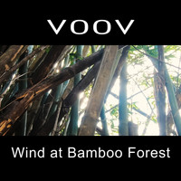VOOV / - Wind at Bamboo Forest