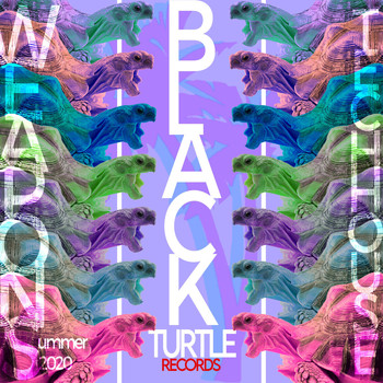 Various Artists - Black Turtle Weapons Tech House Summer 2020