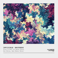 Invisible Brothers - Flight in Depth