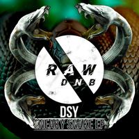 Dsy - Sneaky Snake