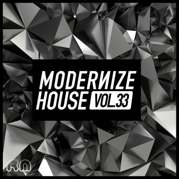 Various Artists - Modernize House, Vol. 33