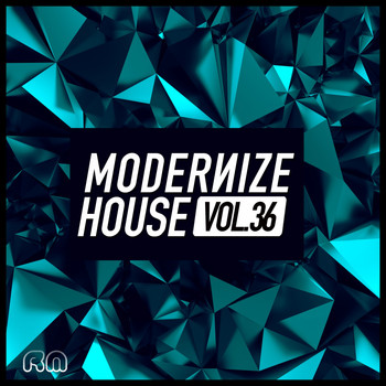 Various Artists - Modernize House, Vol. 36