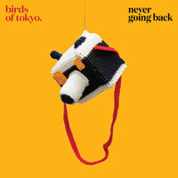 Birds Of Tokyo - Never Going Back (Single Edit [Explicit])
