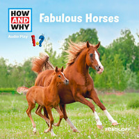 How and Why - Fabulous Horses