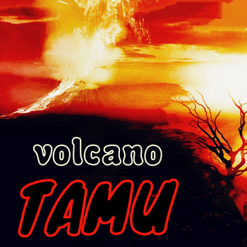 TAMU - Volcano
