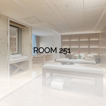 Various Artists - Room 251