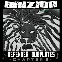 Brizion - Defender Dubplates Chapter 8