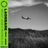 Ladebare (feat. Janai) - What Are U Gonna Do