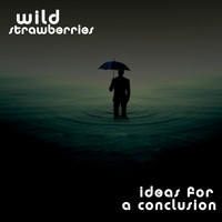 Wild Strawberries - Ideas for a Conclusion