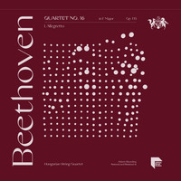 Hungarian String Quartet - Beethoven: Quartet No. 16 in F Major, Op. 135: I. Allegretto