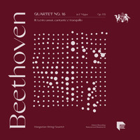 Hungarian String Quartet - Beethoven: Quartet No. 16 in F Major, Op. 135: III. Lento assai, cantante e tranquillo