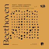 Julius Katchen - Beethoven: Thirty-Three Variations on a Waltz by Diabelli, Op. 120: Variation 6. Allegro ma non troppo e serioso