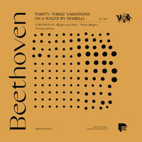 Julius Katchen - Beethoven: Thirty-Three Variations on a Waltz by Diabelli, Op. 120: Variation 21. Allegro con brio - Meno allegro - Tempo primo