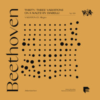 Julius Katchen - Beethoven: Thirty-Three Variations on a Waltz by Diabelli, Op. 120: Variation 25. Allegro