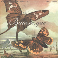 Bauer - Baueresque