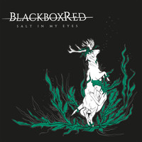 BlackboxRed - Salt in My Eyes