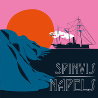 Spinvis - Napels
