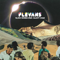 Flevans - 15,000 Words