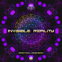 Invisible Reality - Spectral Dimension