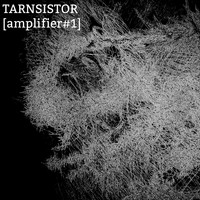 Transistor - Amplifier
