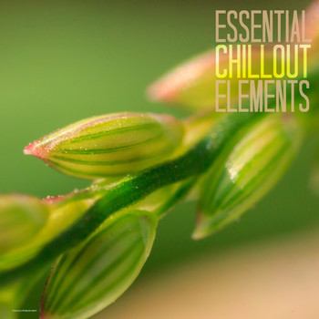 Various Artists - Essential Chillout Elements