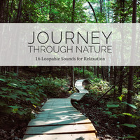 Path to the Wild - Journey Through Nature:16 Loopable Sounds for Relaxation