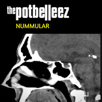 The Potbelleez - Nummular