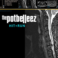 The Potbelleez - Hit & Run