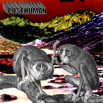Posthuman - The Uncertainty Of The Monkey