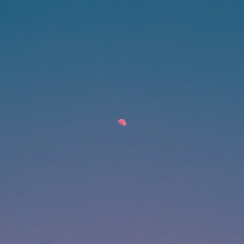 Tasha - But There's Still The Moon