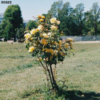 Guru - Roses